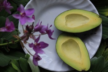Sliced Avocado on White Ceramic Plate