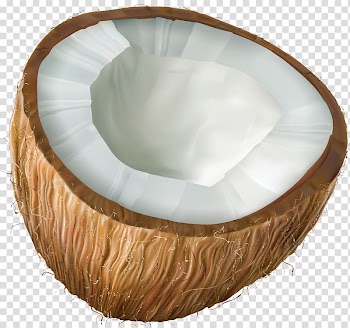 Sliced coconut fruit illustration, Coconut , Coconut transparent background PNG clipart