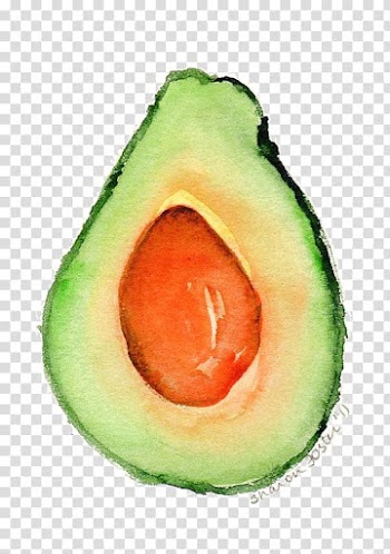 Sliced green avocado, Avocado Watercolor painting Fruit Food Compote, Avocado transparent background PNG clipart