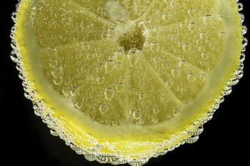 Sliced Lemon