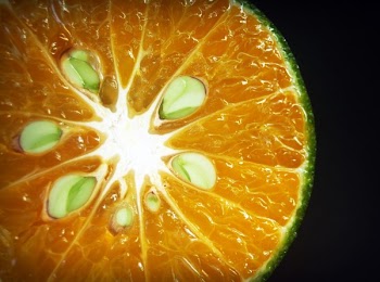 Sliced Lemon Closeup Photography