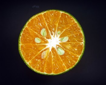 Sliced Lime