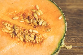 Sliced Melon