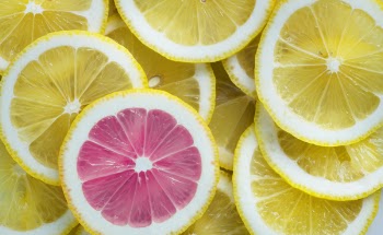 Sliced of Citrus Lemons