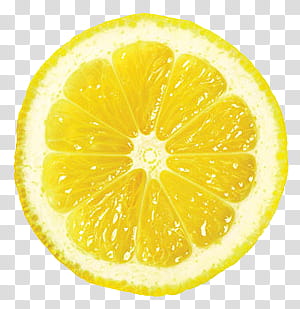Sliced of lemon fruit transparent background PNG clipart