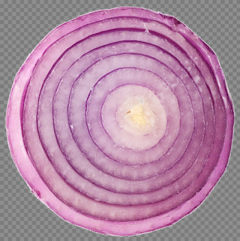 Sliced Onion PNG Transparent Image