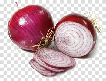 Sliced Onion Transparent Background PNG