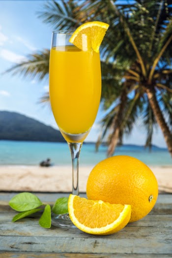 Sliced Orange Fruit Beside Long-stemmed Glass Filled With Orange Liquid
