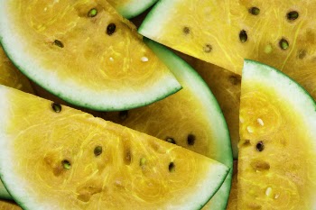 Sliced Watermelon Lot
