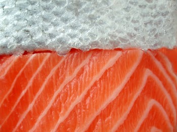 Slices of salmon filet as a close-up