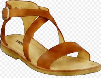 Slide Shoe Sandal -  