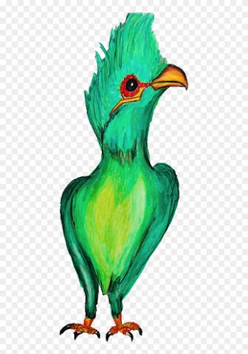 Slimming Green Organic Tea Bird Tea - Organic Food