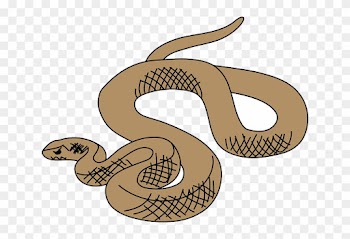 Slither Snake, Brown, Art, Reptile, Slithering, Curled, - Brown Tree Snake Clip Art