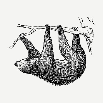 Sloth, animal clipart psd. Free | Free PSD Illustration - rawpixel