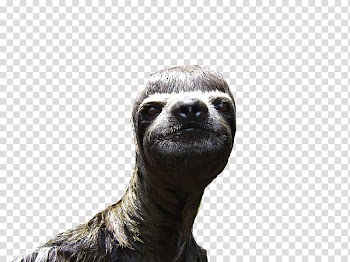 Sloth Animal Desktop , sloth transparent background PNG clipart