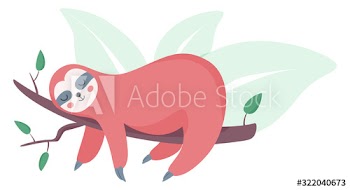 Sloth animal sleep