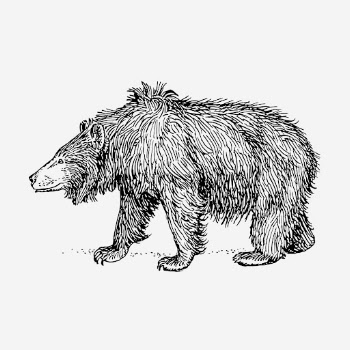 Sloth bear, animal illustration. Free | Free Photo Illustration - rawpixel
