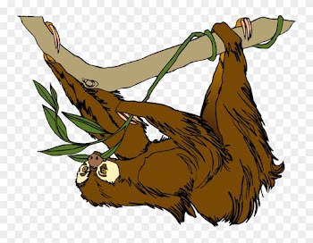 Sloth Clipart - Sloth On Tree Clipart