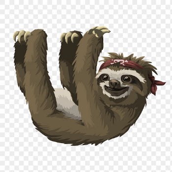 Sloth png sticker, wild animal | Free PNG - rawpixel