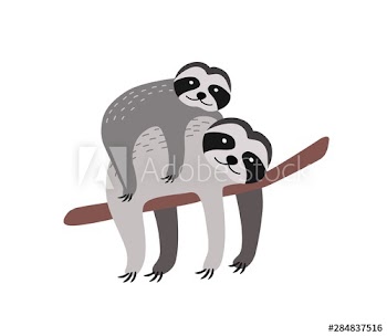 Sloth with baby resting on tree branch isolated on white background