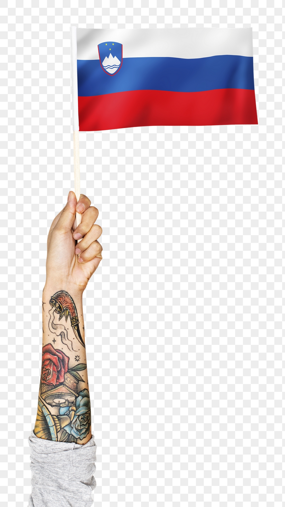Slovenia's flag png in tattooed | Free PNG - rawpixel