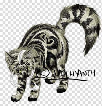 SM, White Ribbon Example transparent background PNG clipart