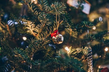 Small Bell Ornament On Tree