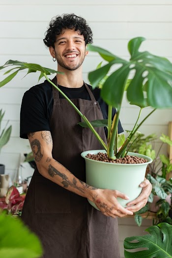 Small business owner holding a potted plant… | Free stock photo | High Resolution image
