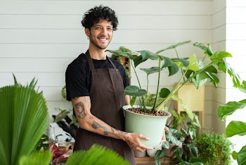 Small business owner holding a potted plant… | Free stock photo | High Resolution image