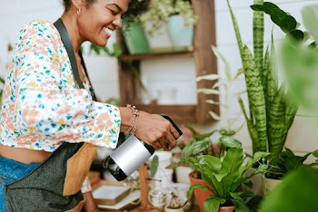 Small business worker misting plants with a… | Free stock photo | High Resolution image