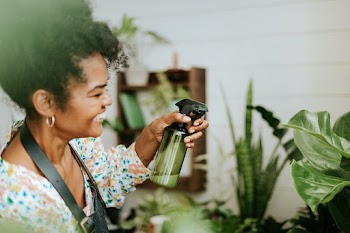 Small business worker misting plants with a… | Free stock photo | High Resolution image