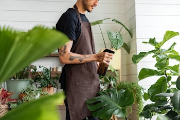 Small business worker misting plants with a… | Free stock photo | High Resolution image