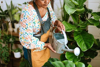 Small business worker watering plants  | Free stock photo | High Resolution image