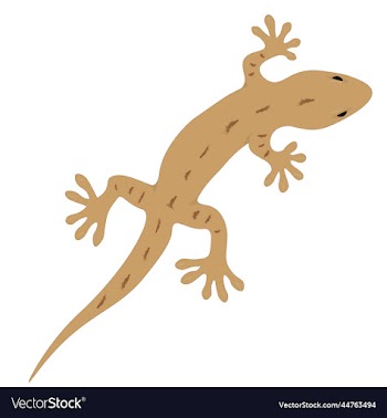 small cute brown climbing gecko