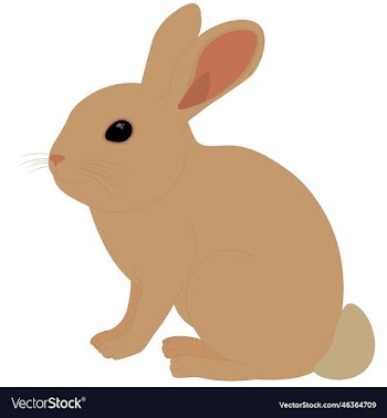 small cute brown rabbit