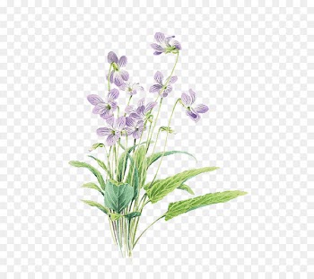 Small fresh purple painted flowers 