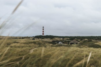 Small Houses Near Brown Grass Field
