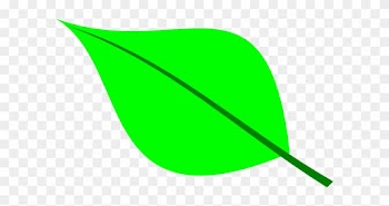 Small Leaf Clip Art - Green Leaf Clip Art