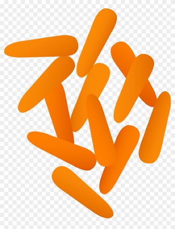 Small Orange Baby Carrots - Baby Carrots Clip Art