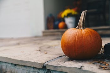 Small Pumpkin On Steps