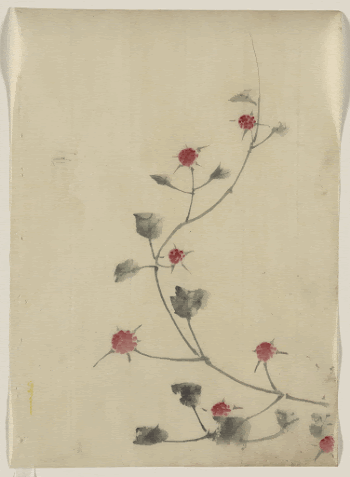 [Small red blossoms on a vine]. | Free Photo - rawpixel
