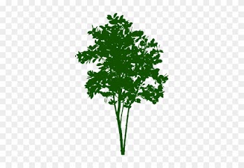 Small Tree Symbol - Small Tree Png