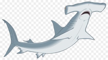 Smalleye Hammerhead, Great Hammerhead, Cartilaginous Fishes, Fish, Shark PNG