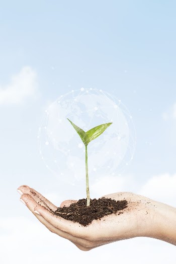 Smart agriculture background, hand holding | Free Photo - rawpixel