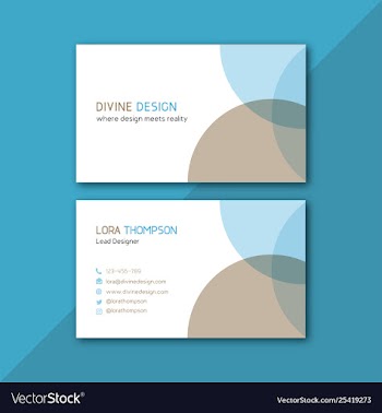 Smart clean business card image vector image