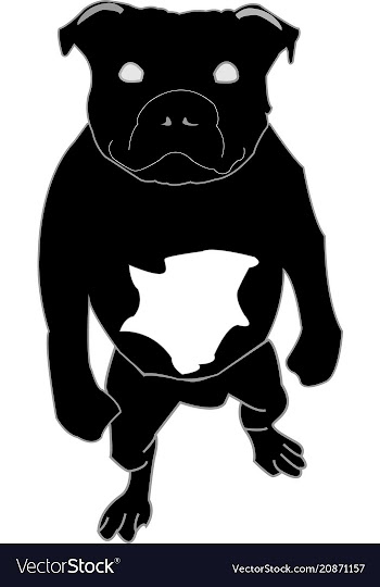 Smart dog vector image