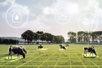 Smart farming, agriculture IoT technology | Free Photo - rawpixel