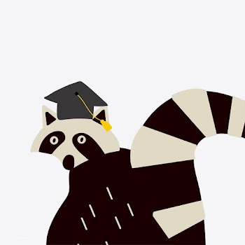 Smart raccoon wearing a graduation hat vector | Free stock vector - 477164
