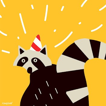 Smart raccoon with a party hat vector graphic.. | Free stock vector - 477185
