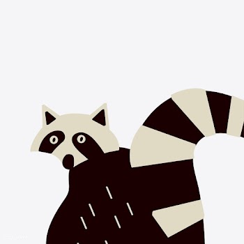 Smart wildlife raccoon vector graphics | Free stock vector - 477107